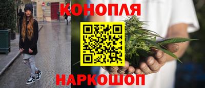 гашик Бузулук